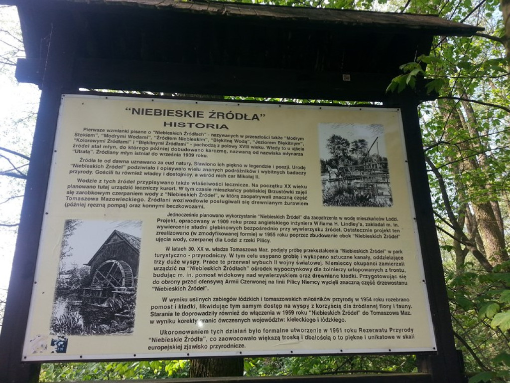 Brzescy eksploratorzy na konferencji popularnonaukowej 