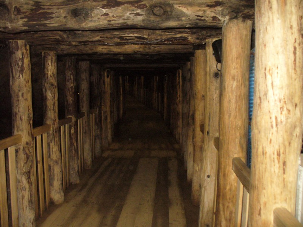 Brzescy eksploratorzy na konferencji popularnonaukowej 