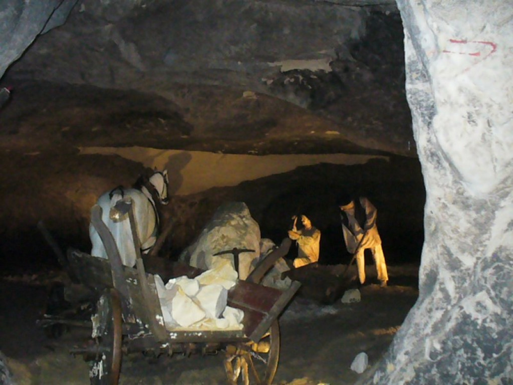 Brzescy eksploratorzy na konferencji popularnonaukowej 