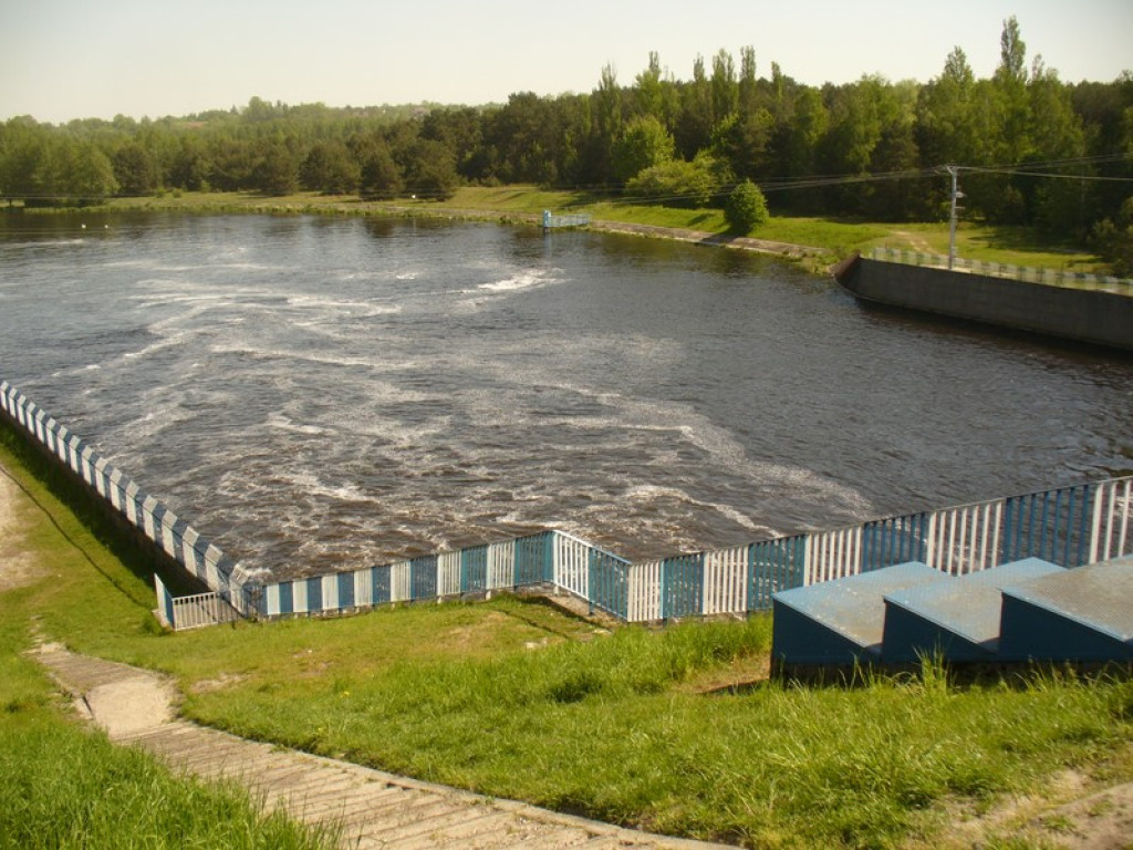 Brzescy eksploratorzy na konferencji popularnonaukowej 