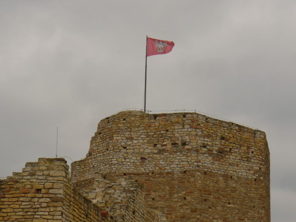 Brzescy eksploratorzy na konferencji popularnonaukowej 