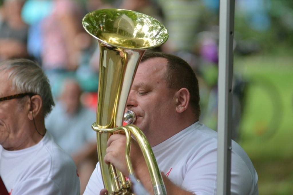 Koncert orkiestry dętej w Parku Wolności [fotorelacja]