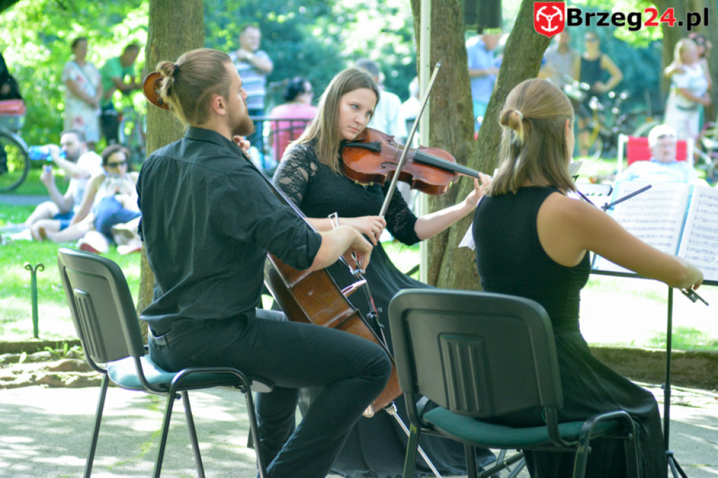 Koncert Kwartetu Smyczkowego - Muzyczny Park - 