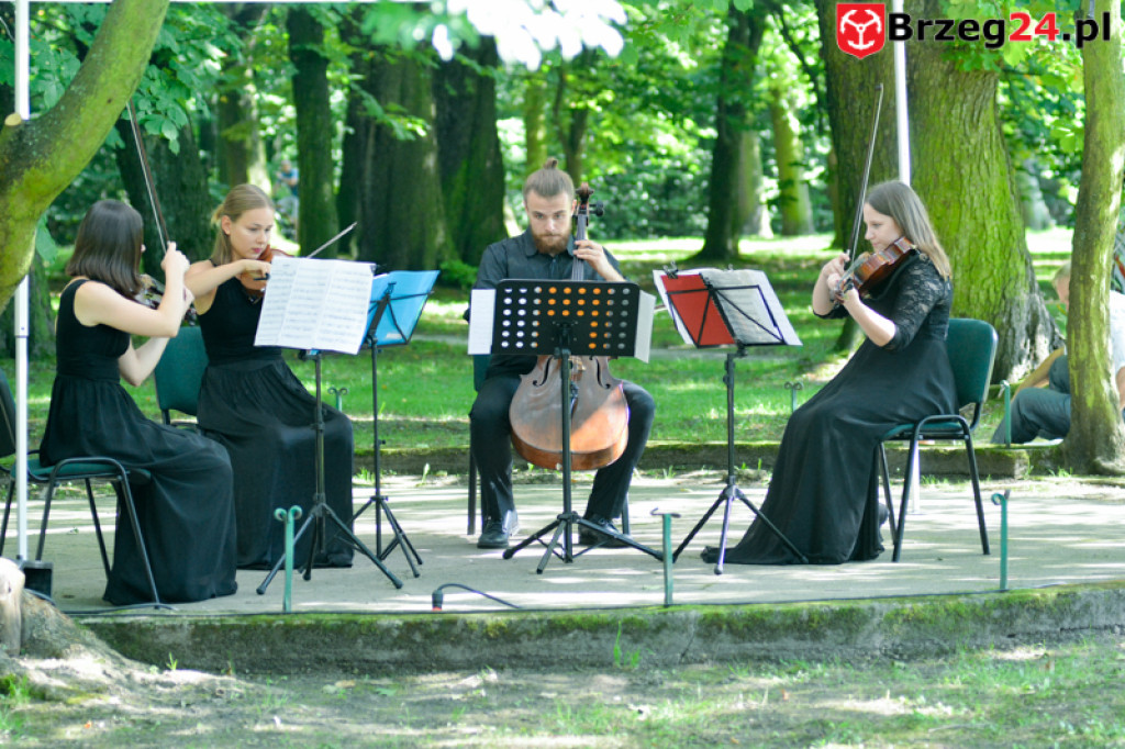 Koncert Kwartetu Smyczkowego - Muzyczny Park - 