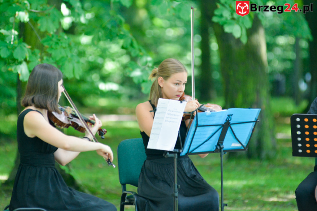 Koncert Kwartetu Smyczkowego - Muzyczny Park - 