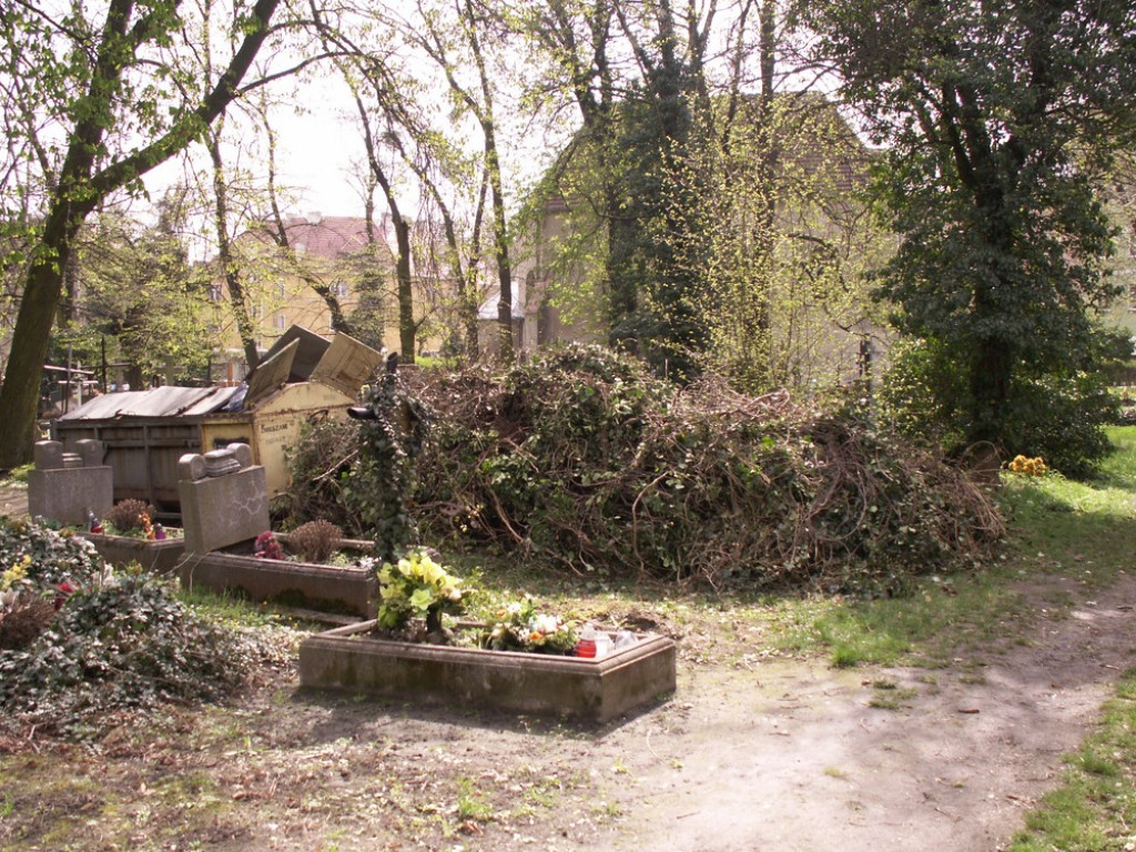 Posprzątali cmentarz, zabezpieczyli mauzoleum, a teraz chcą odrestaurować mury i epitafia