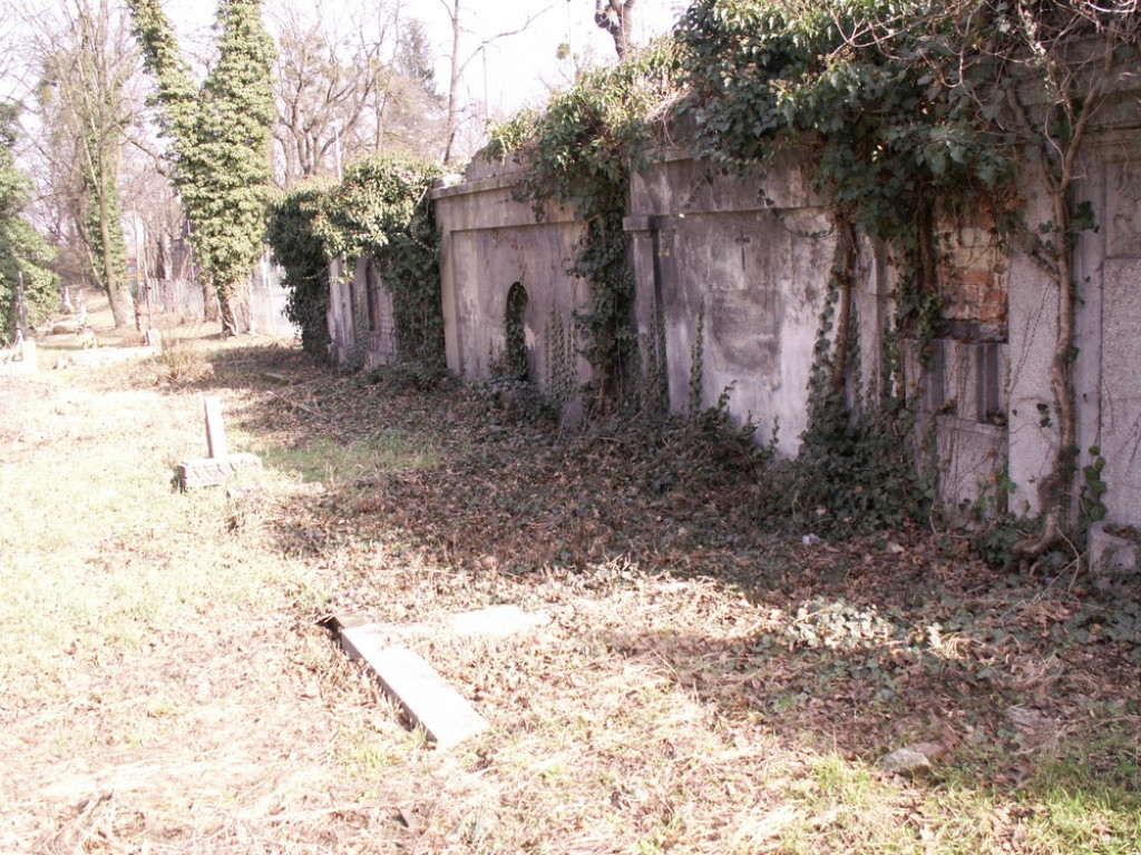 Posprzątali cmentarz, zabezpieczyli mauzoleum, a teraz chcą odrestaurować mury i epitafia