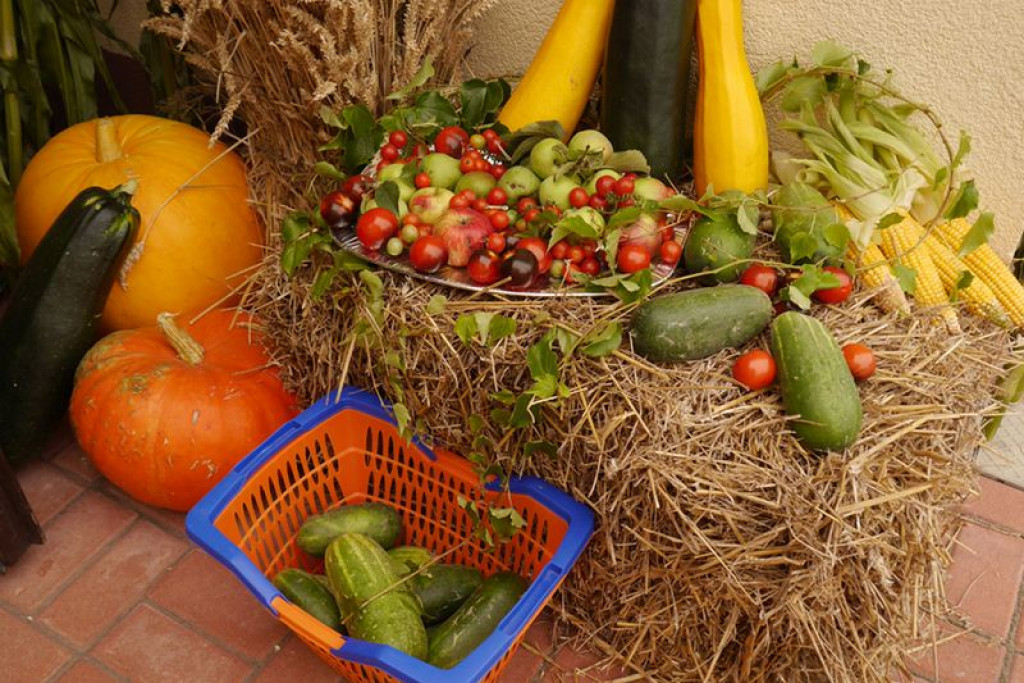 Dożynki wiejskie w Gierszowicach