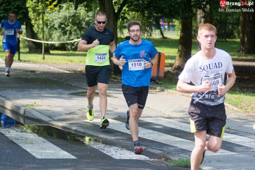 VI Bieg Piastów Śląskich [fotorelacja]