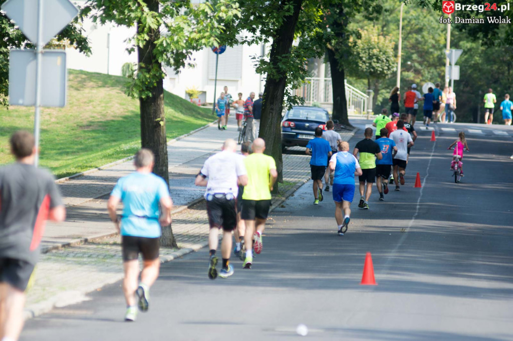 VI Bieg Piastów Śląskich [fotorelacja]