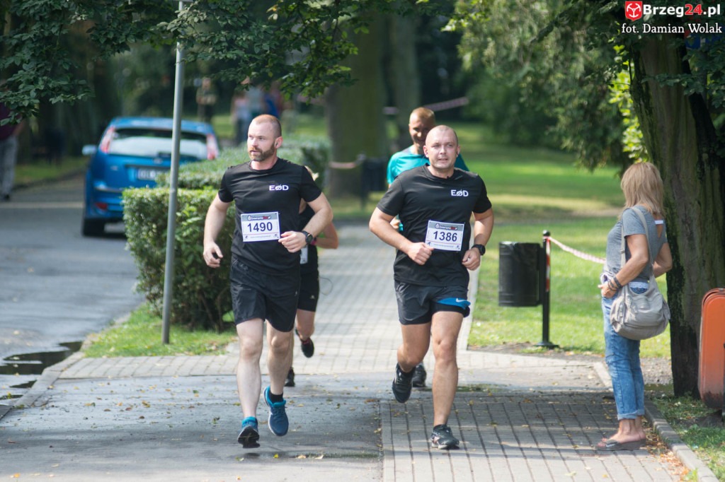 VI Bieg Piastów Śląskich [fotorelacja]