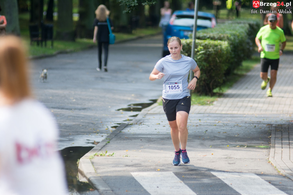 VI Bieg Piastów Śląskich [fotorelacja]