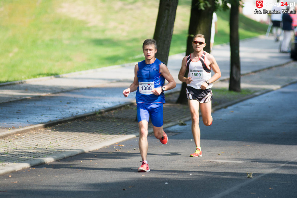 VI Bieg Piastów Śląskich [fotorelacja]