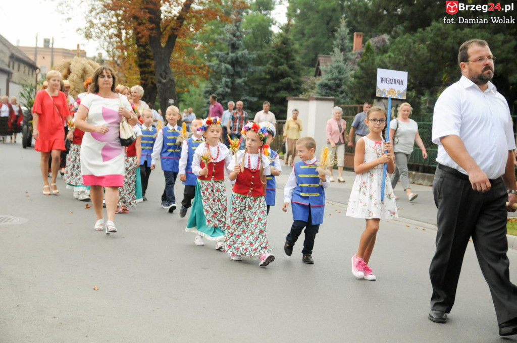 Dożynki w Grodkowie - dzień 2 [fotorelacja]