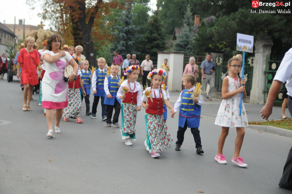 Dożynki w Grodkowie - dzień 2 [fotorelacja]