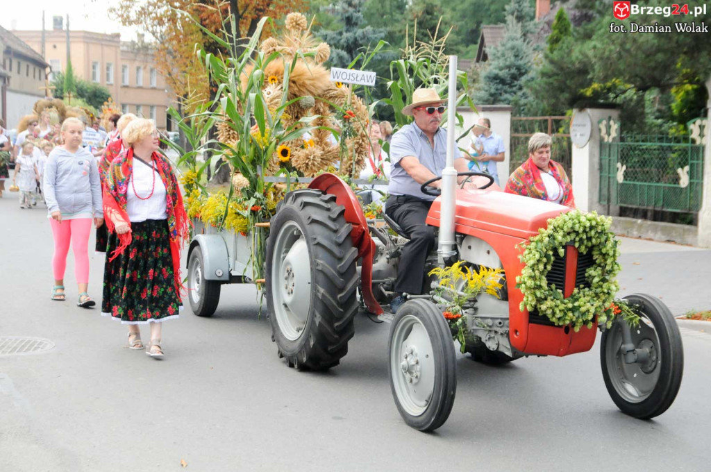 Dożynki w Grodkowie - dzień 2 [fotorelacja]