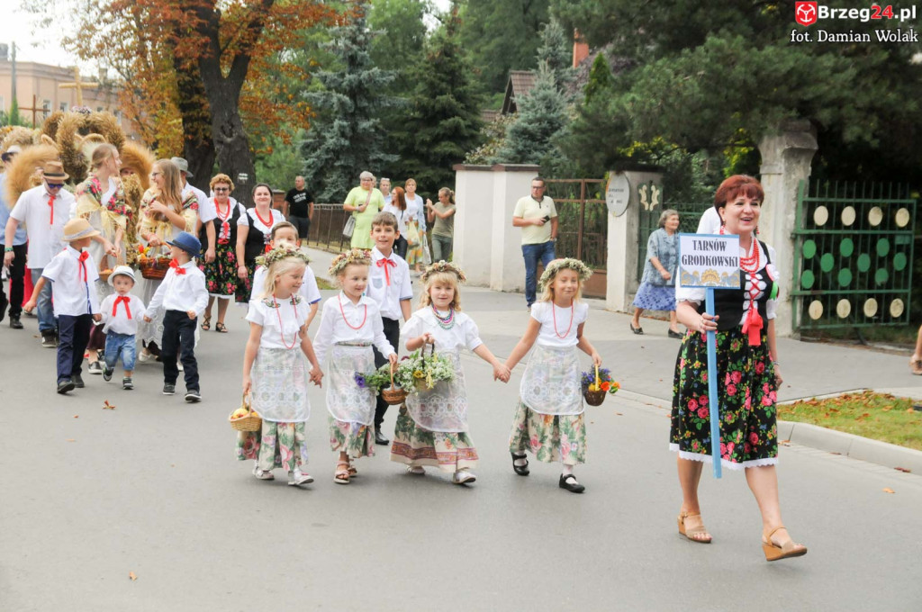 Dożynki w Grodkowie - dzień 2 [fotorelacja]