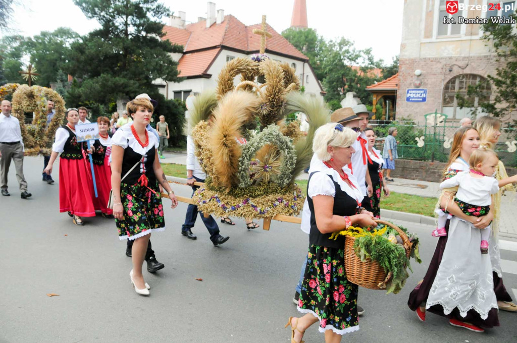 Dożynki w Grodkowie - dzień 2 [fotorelacja]