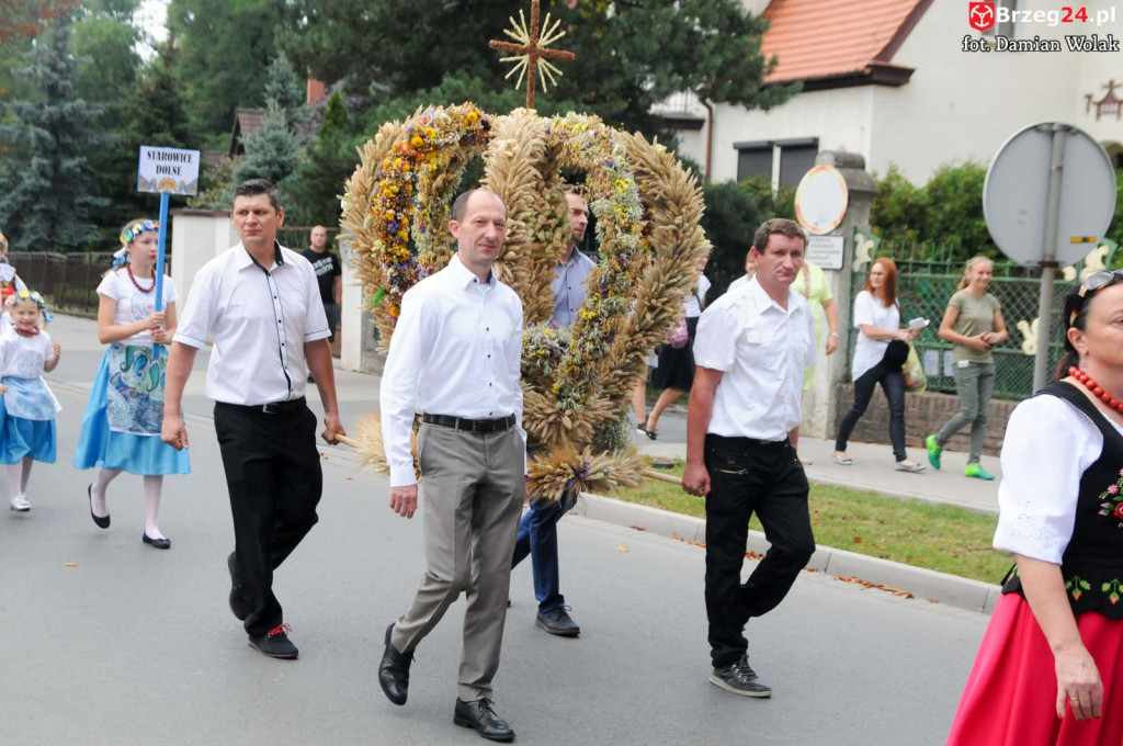 Dożynki w Grodkowie - dzień 2 [fotorelacja]