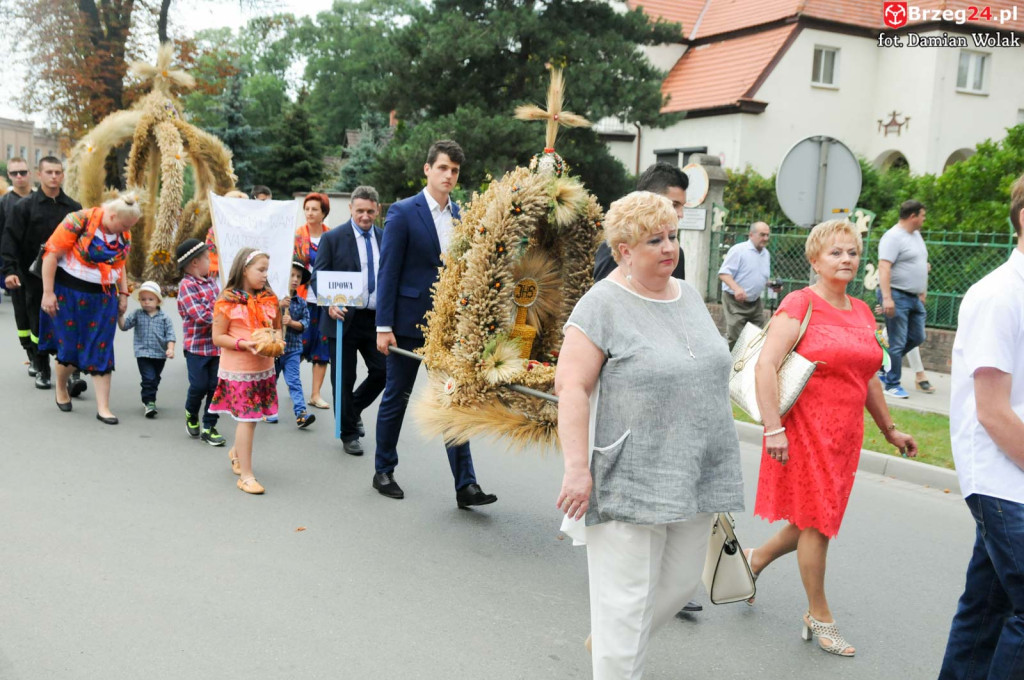 Dożynki w Grodkowie - dzień 2 [fotorelacja]