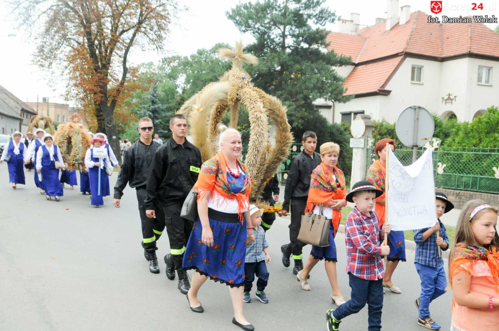 Dożynki w Grodkowie - dzień 2 [fotorelacja]