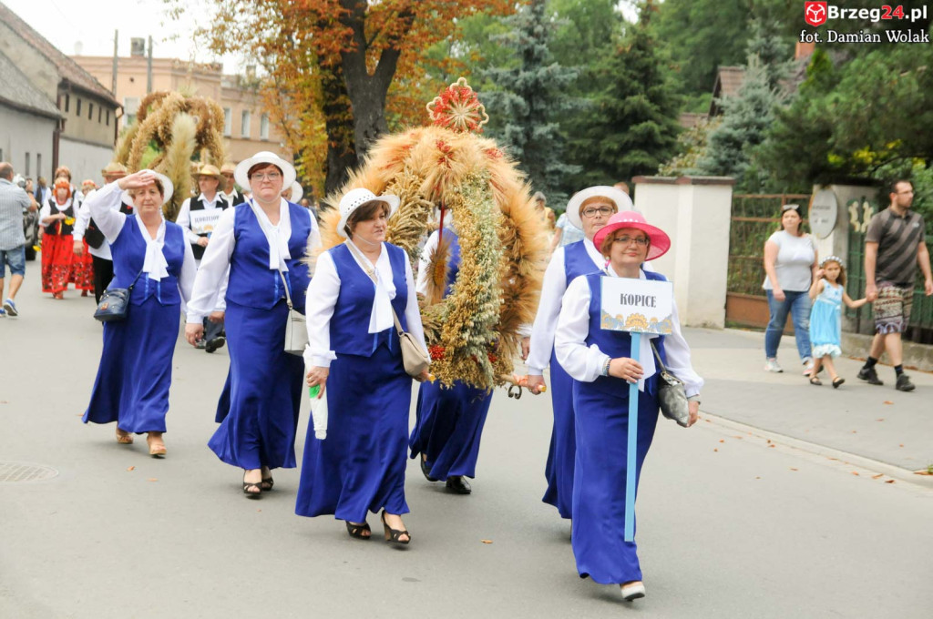 Dożynki w Grodkowie - dzień 2 [fotorelacja]