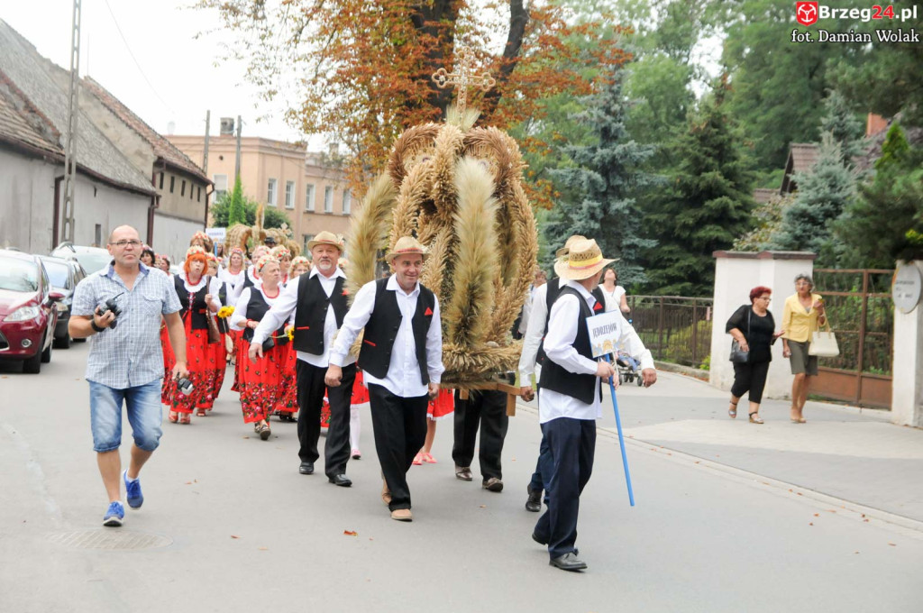 Dożynki w Grodkowie - dzień 2 [fotorelacja]