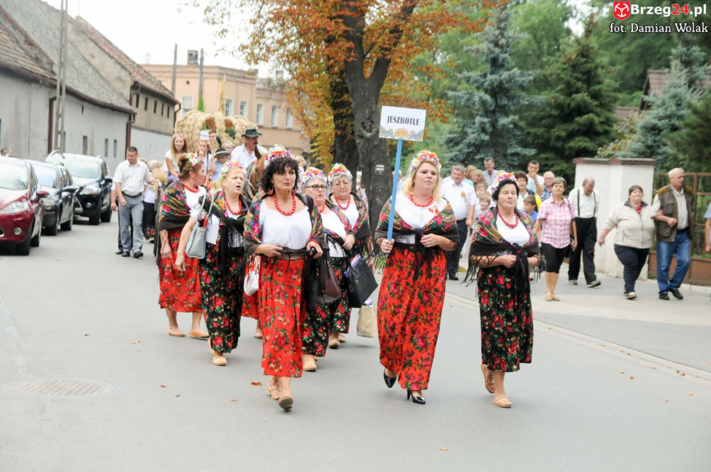Dożynki w Grodkowie - dzień 2 [fotorelacja]