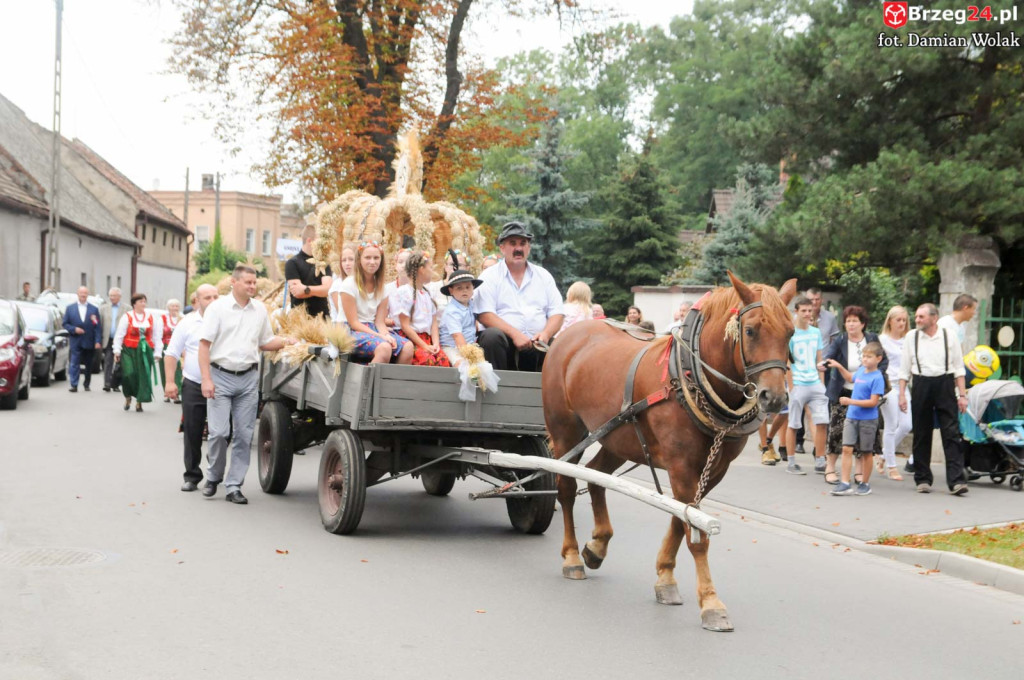 Dożynki w Grodkowie - dzień 2 [fotorelacja]
