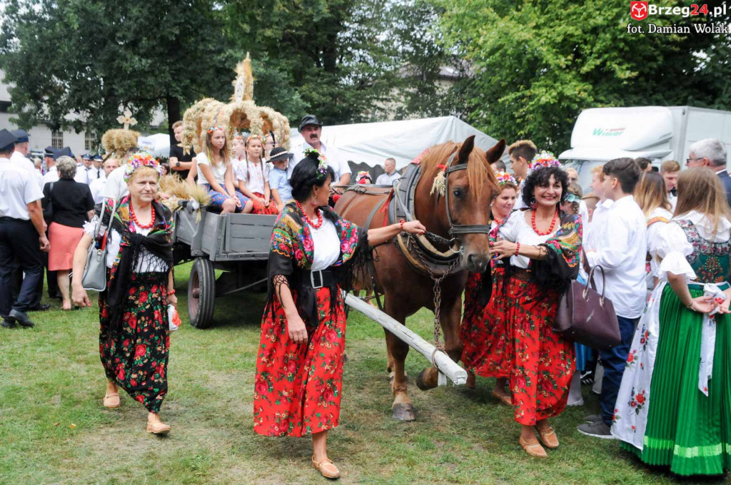 Dożynki w Grodkowie - dzień 2 [fotorelacja]