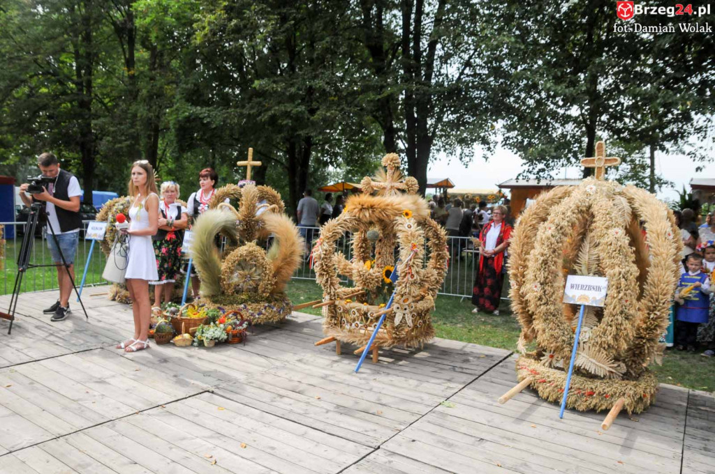 Dożynki w Grodkowie - dzień 2 [fotorelacja]