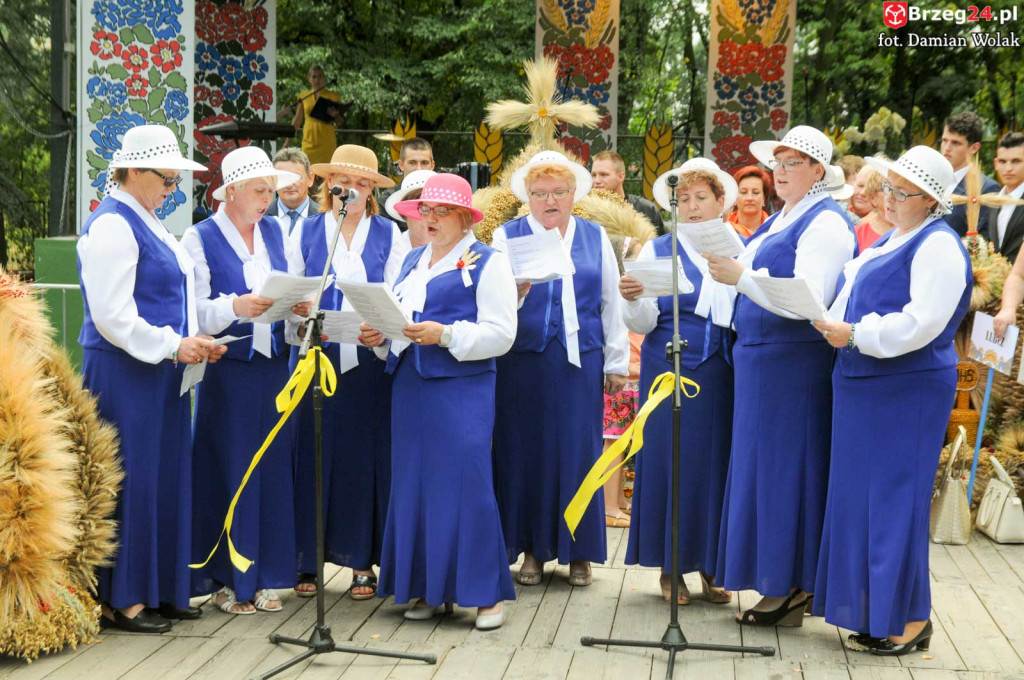 Dożynki w Grodkowie - dzień 2 [fotorelacja]