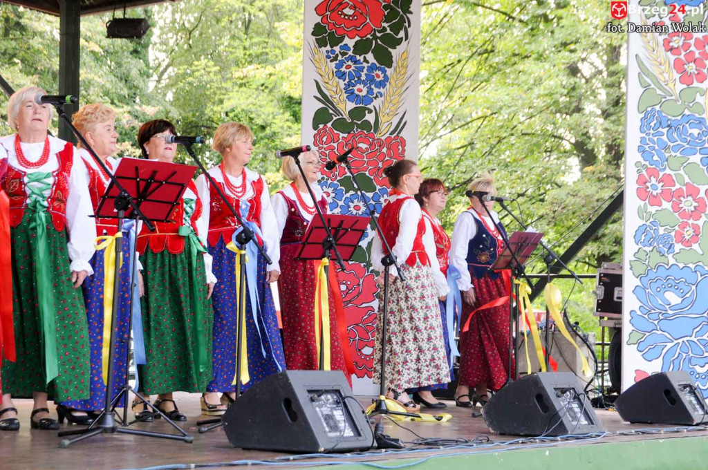 Dożynki w Grodkowie - dzień 2 [fotorelacja]