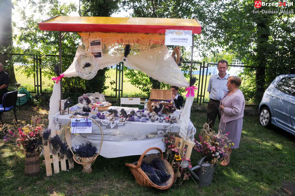 Dożynki w Grodkowie - dzień 2 [fotorelacja]