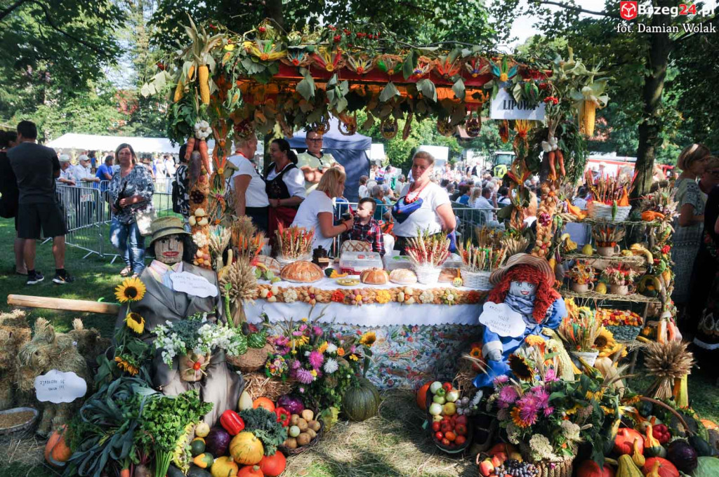 Dożynki w Grodkowie - dzień 2 [fotorelacja]