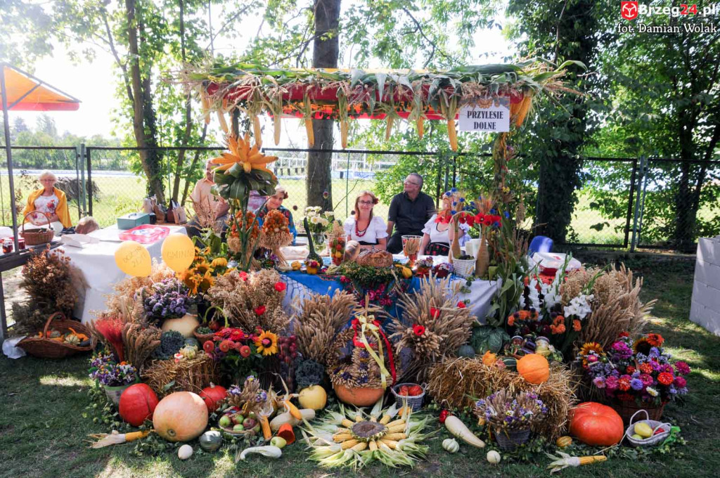 Dożynki w Grodkowie - dzień 2 [fotorelacja]