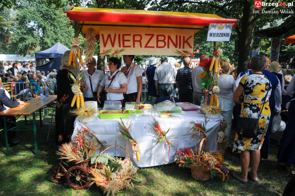 Dożynki w Grodkowie - dzień 2 [fotorelacja]