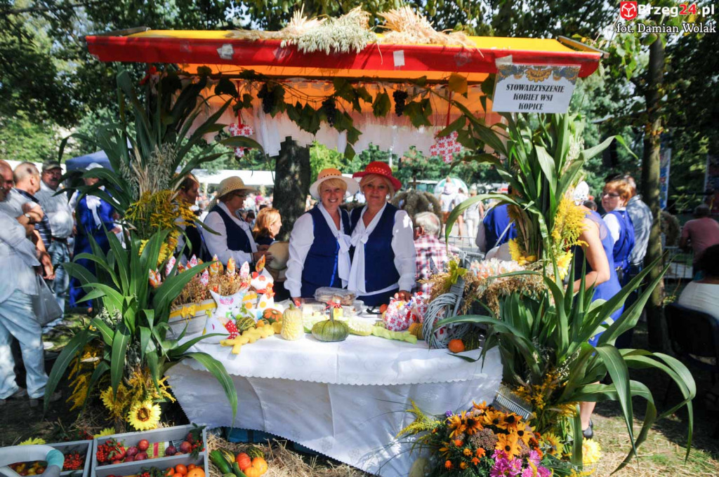 Dożynki w Grodkowie - dzień 2 [fotorelacja]