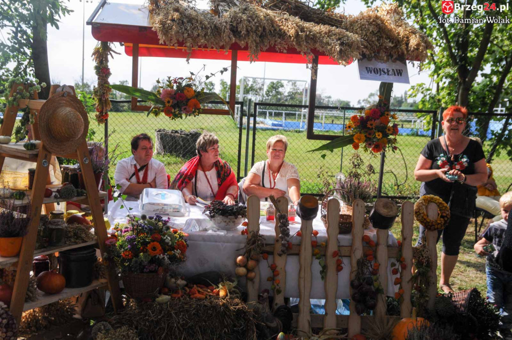 Dożynki w Grodkowie - dzień 2 [fotorelacja]