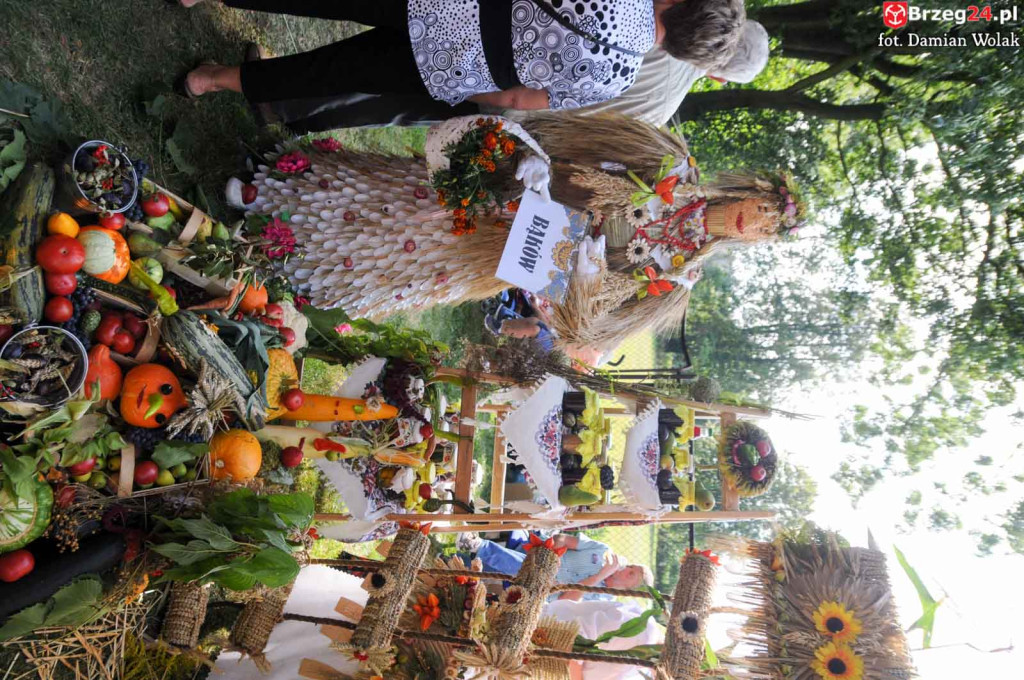 Dożynki w Grodkowie - dzień 2 [fotorelacja]