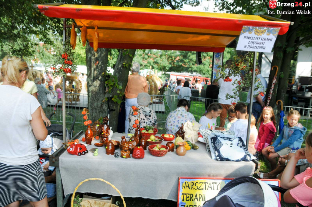 Dożynki w Grodkowie - dzień 2 [fotorelacja]
