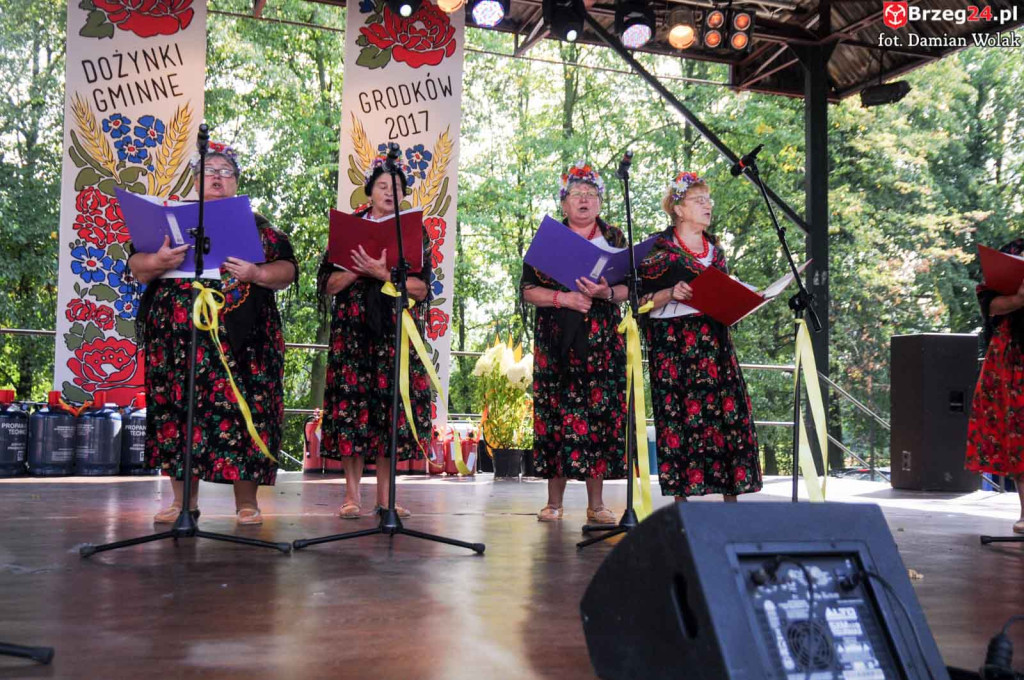Dożynki w Grodkowie - dzień 2 [fotorelacja]