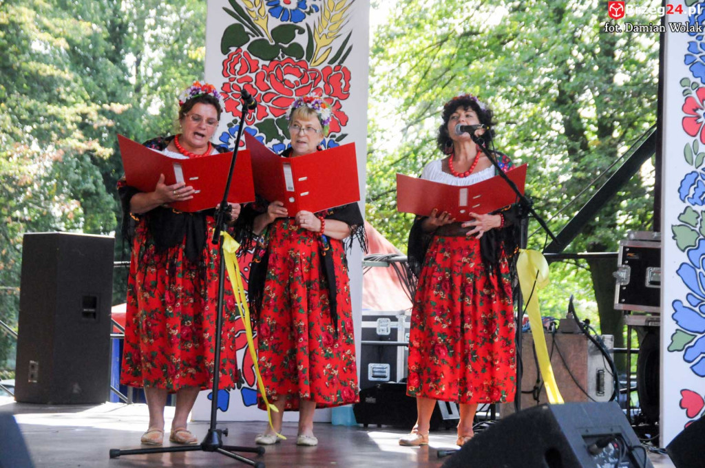 Dożynki w Grodkowie - dzień 2 [fotorelacja]