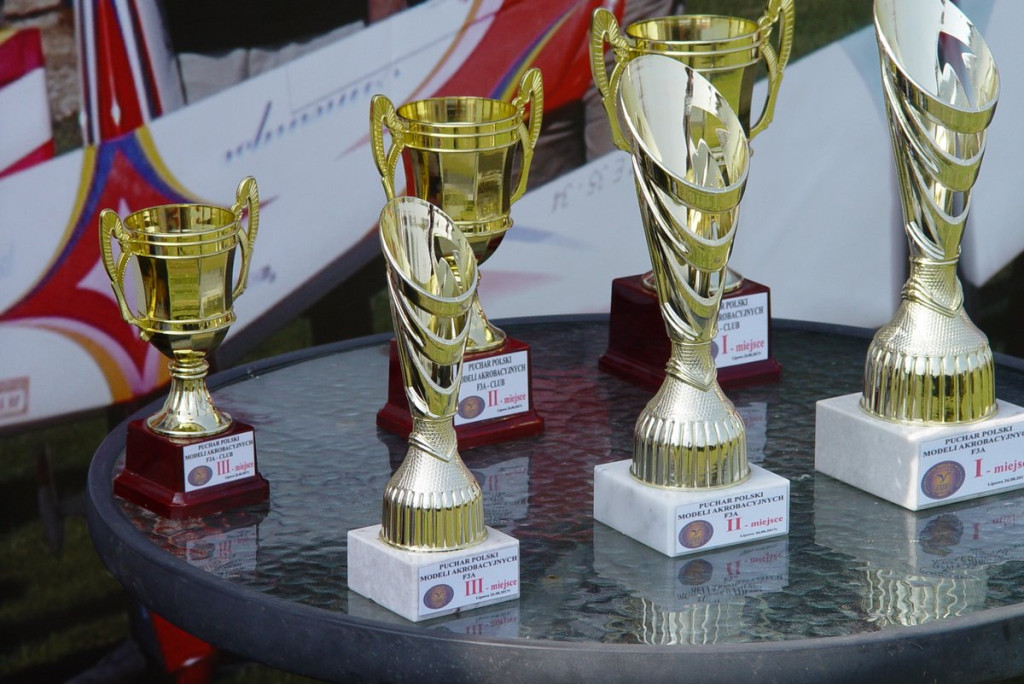 Mistrzostwa Polski Modeli Akrobacyjnych w klasie F3A w Lipowej pod Grodkowem