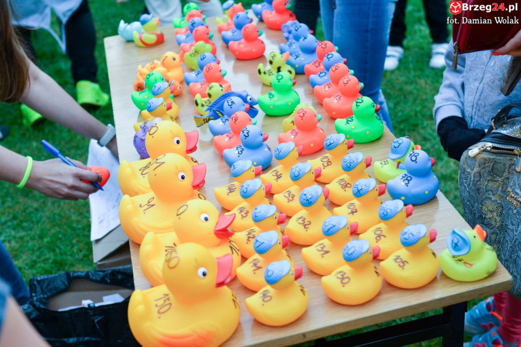 215 kaczek stanęło do wyścigu w Parku Wolności!