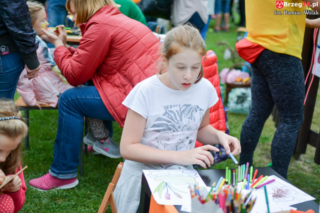 215 kaczek stanęło do wyścigu w Parku Wolności!