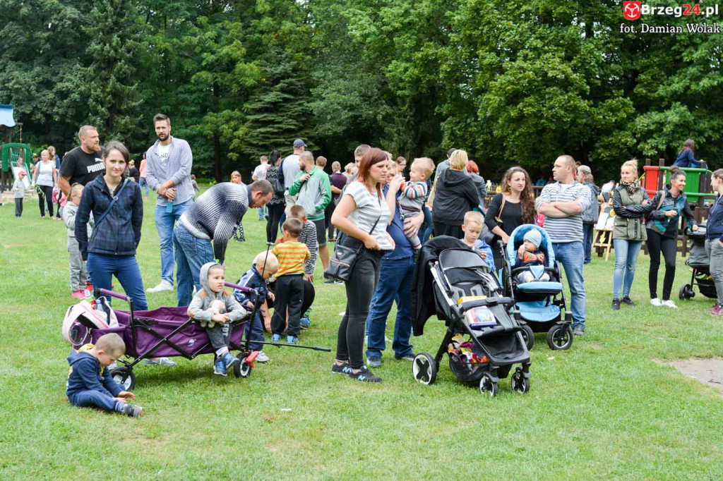 215 kaczek stanęło do wyścigu w Parku Wolności!