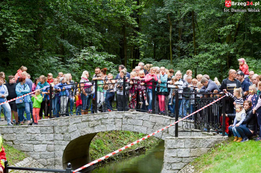 215 kaczek stanęło do wyścigu w Parku Wolności!