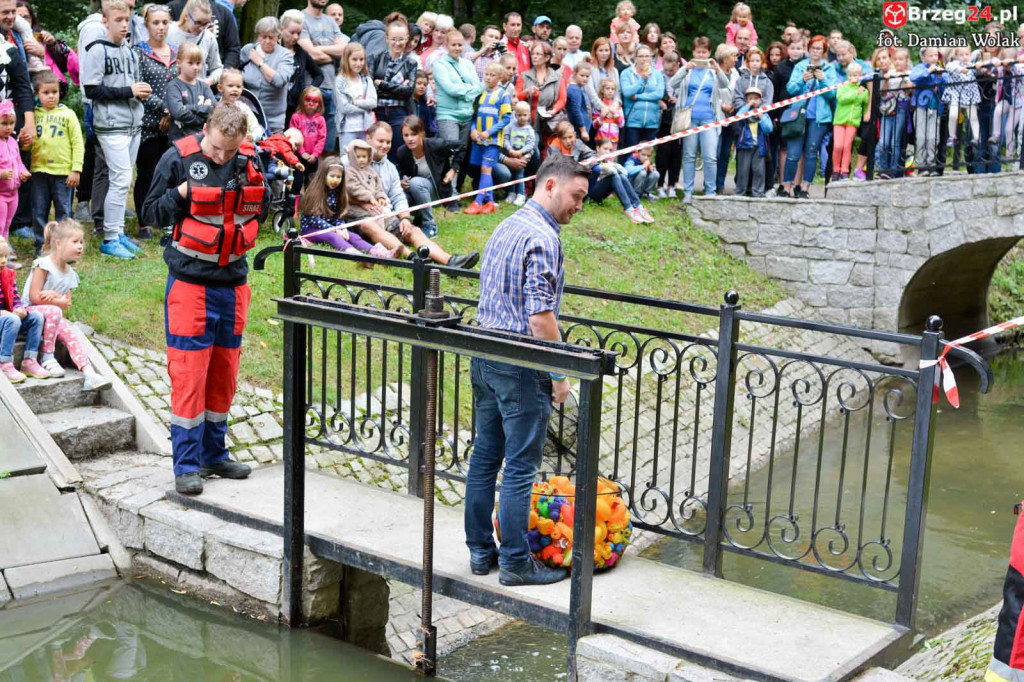 215 kaczek stanęło do wyścigu w Parku Wolności!