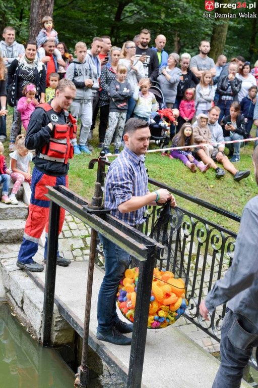 215 kaczek stanęło do wyścigu w Parku Wolności!